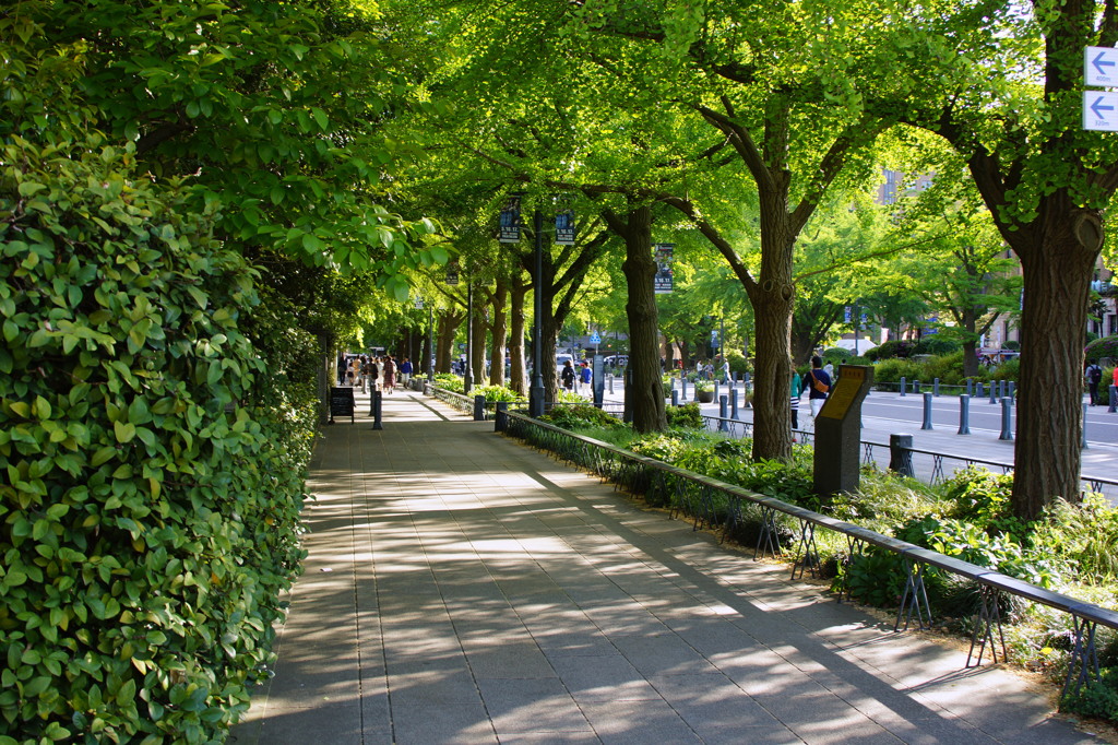 新緑の横浜