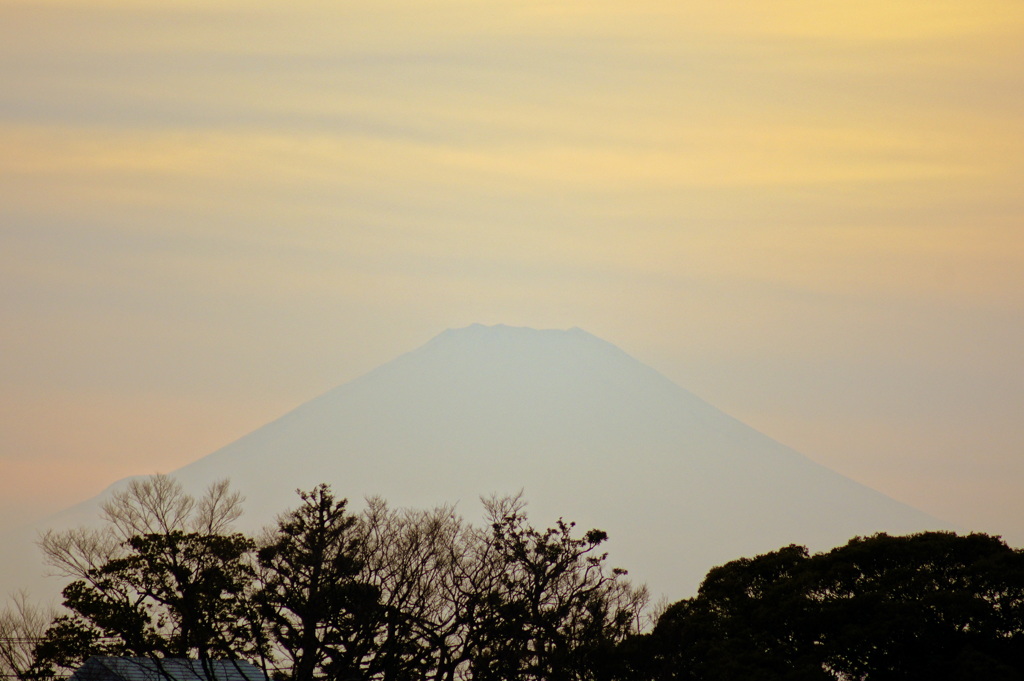 横浜の冬の楽しみ