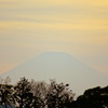 横浜の冬の楽しみ