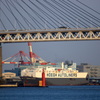 2014年12月30日横浜-3