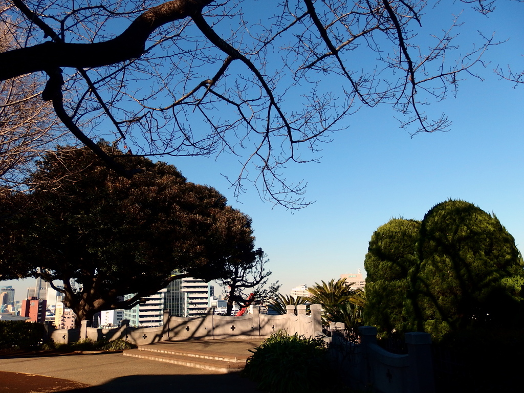 141223イタリア山にて-3