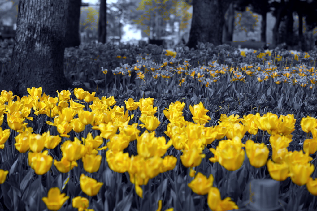Part Color　YELLOW