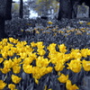 Part Color　YELLOW