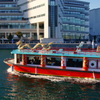 assort-2