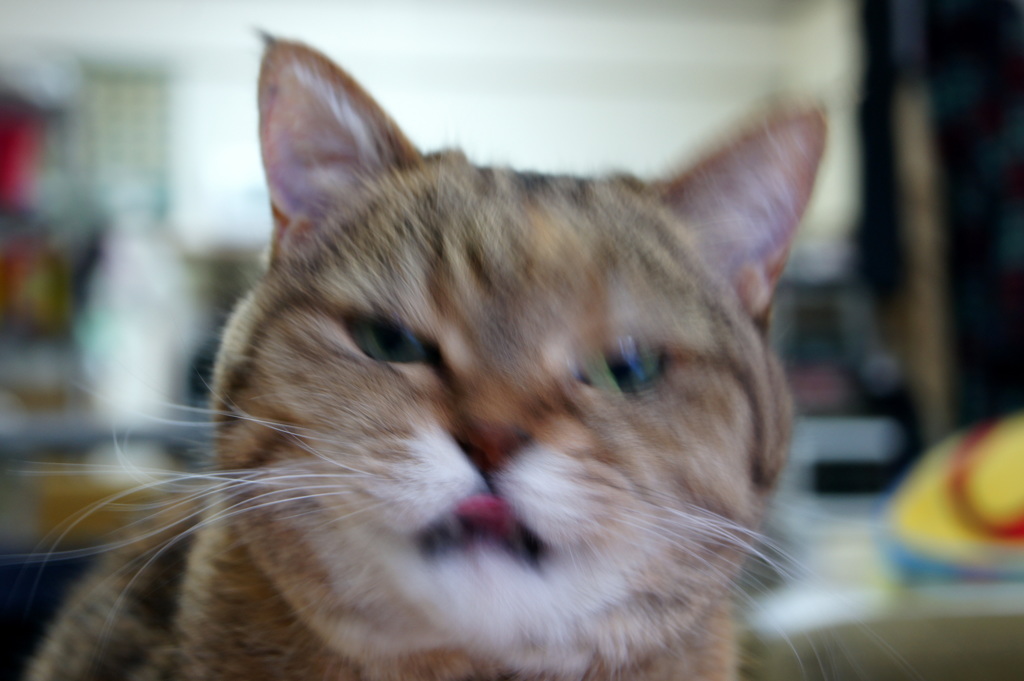 削除されました