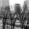 Markisから望む冬景色