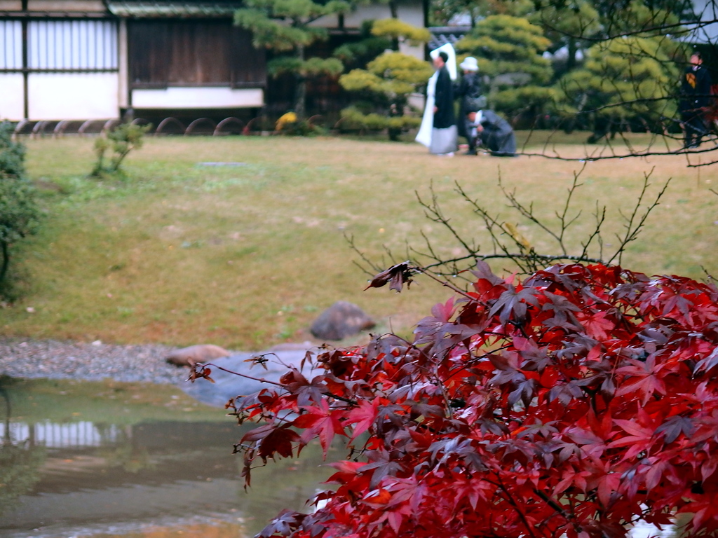 DiscoverJapan