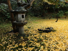 わびさび　が　一転豪華に
