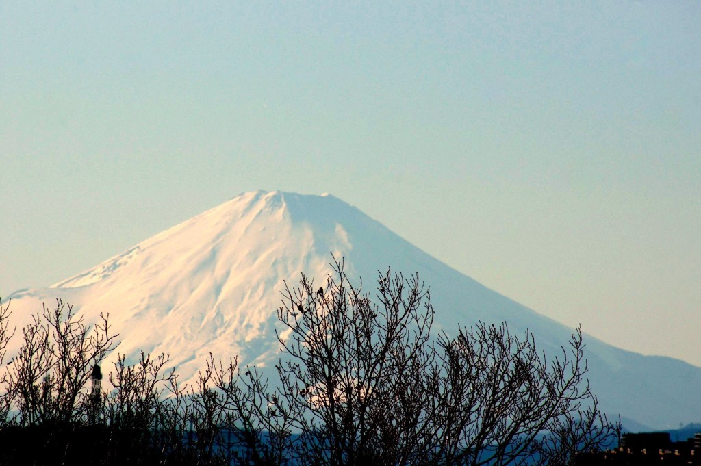 横浜遠景-2