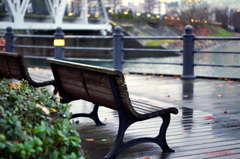 冬の雨