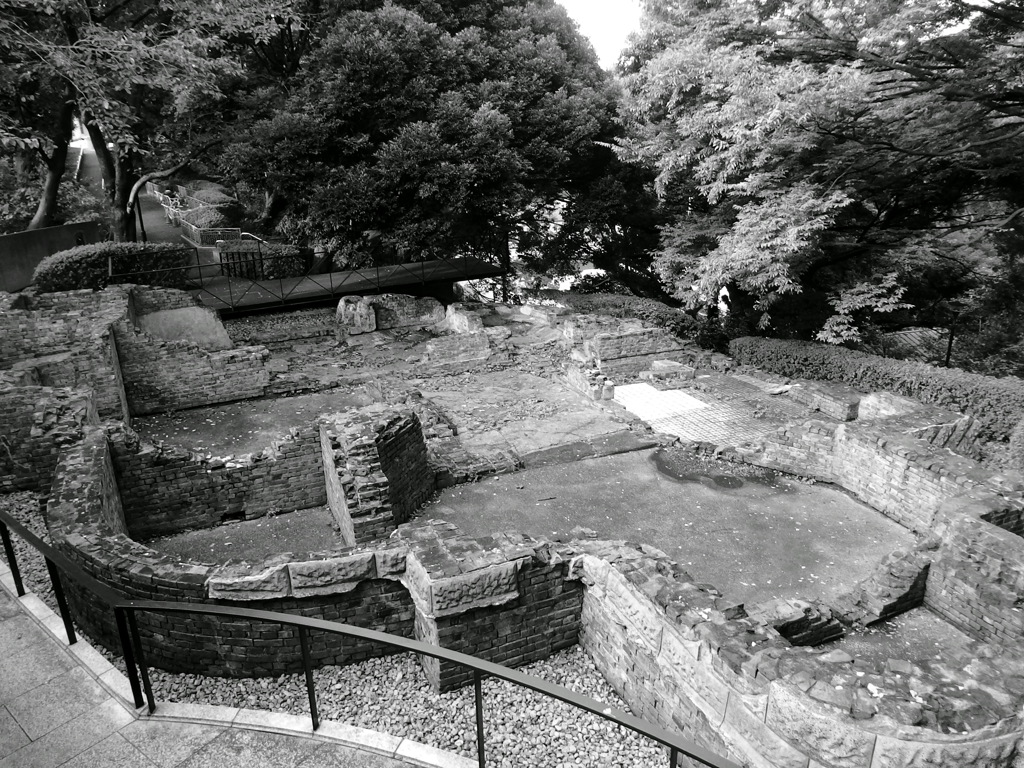 THE BLUFF 80 MEMORIAL TERRCE