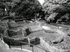 THE BLUFF 80 MEMORIAL TERRCE