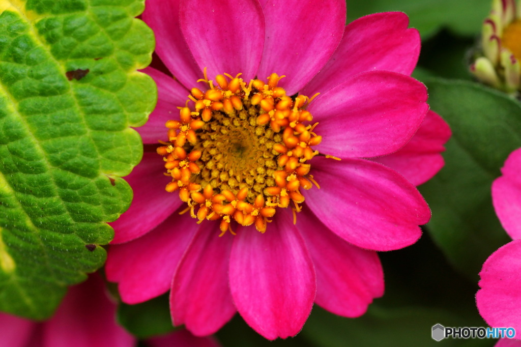 声を掛けられて