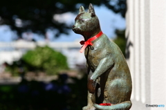 愛猫家