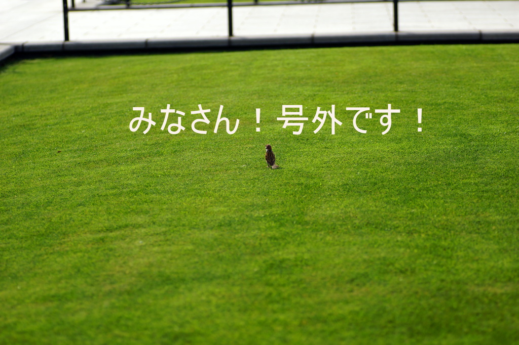 号外です！