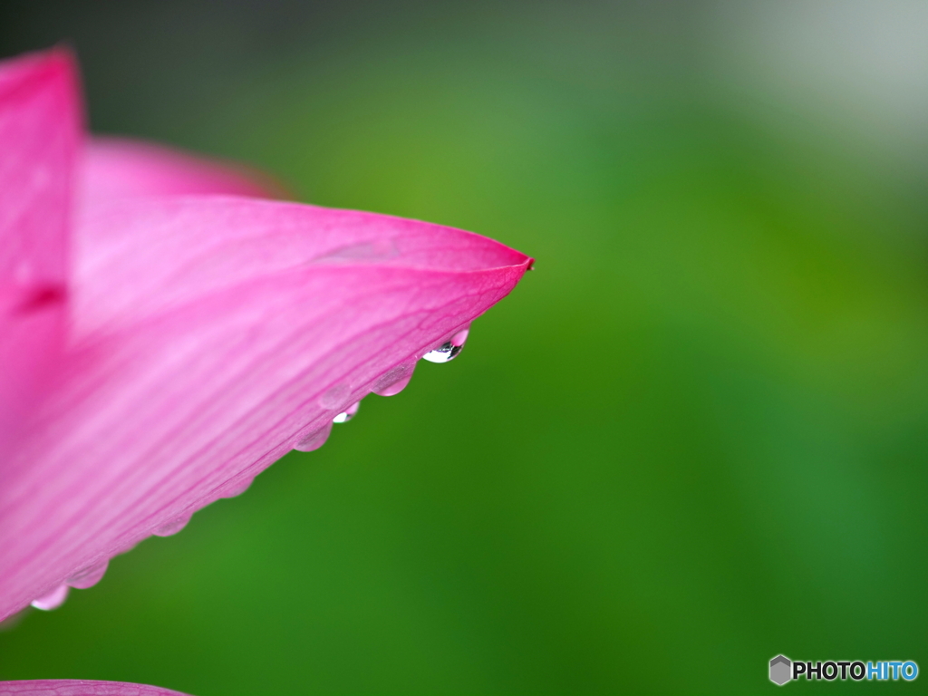 Droplet lens