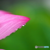 Droplet lens