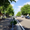 夏の日の午後の思い出