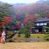 日本の秋