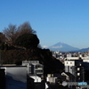 冬の楽しみ