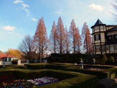 イタリア山の冬