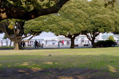 山下公園も春の日差しが