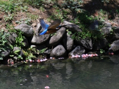 移動ばっかり...