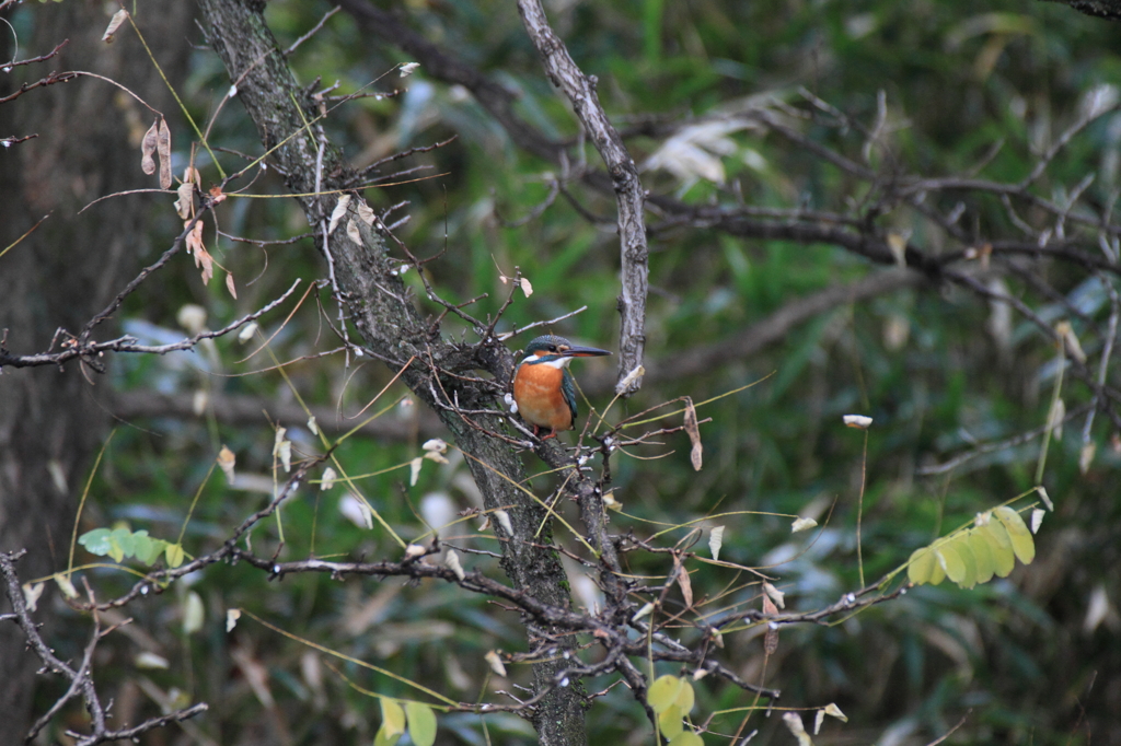 次の着地点、模索中？