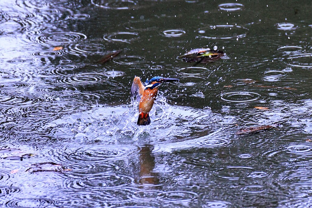 水飛沫