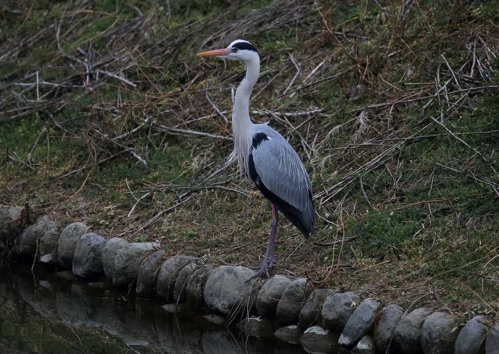 ずっと、辛抱...