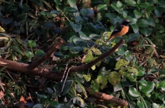 移動開始...そして...