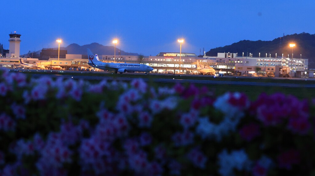 松山空港　駐機場