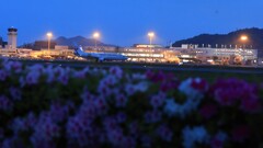 松山空港　駐機場