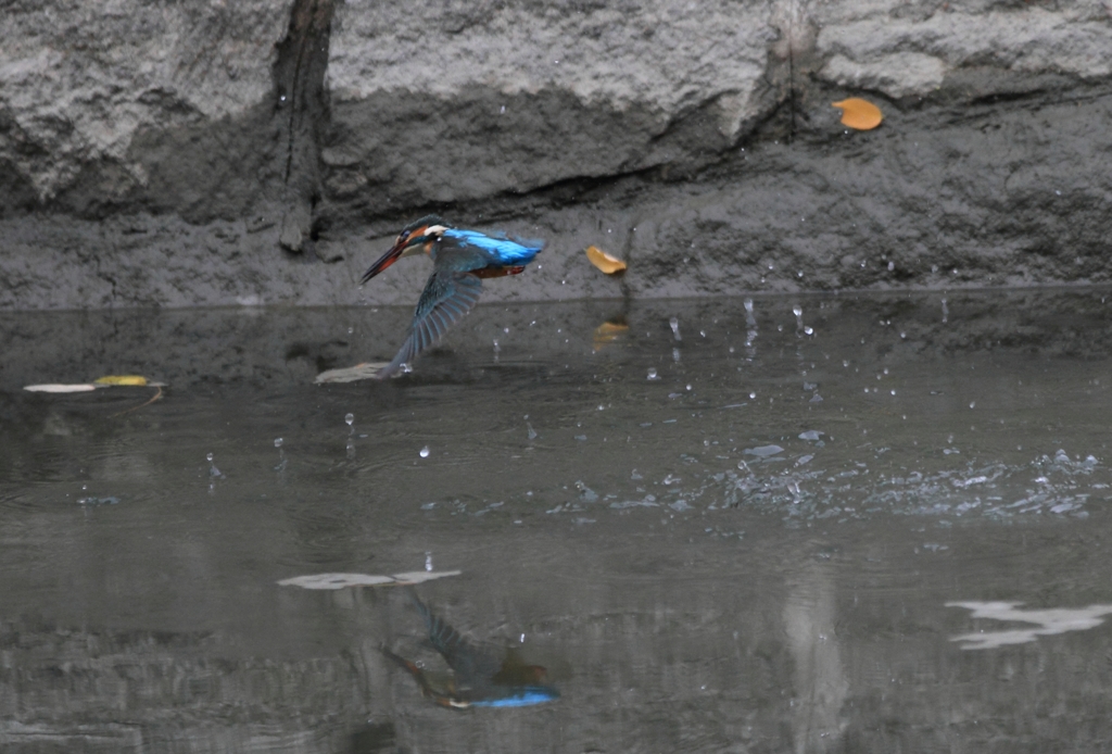 この先行方不明