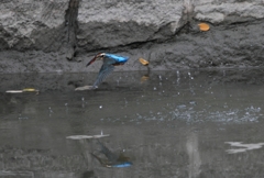 この先行方不明