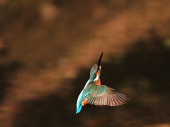 2018年一発目 ②