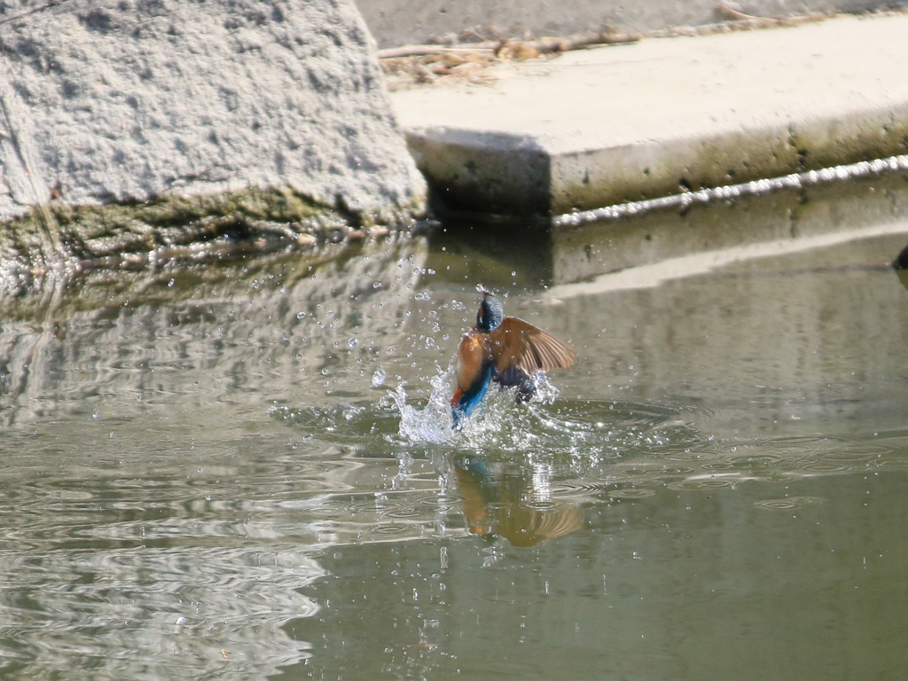 陽当たり良好　①