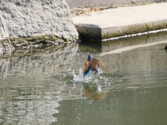 陽当たり良好 ①