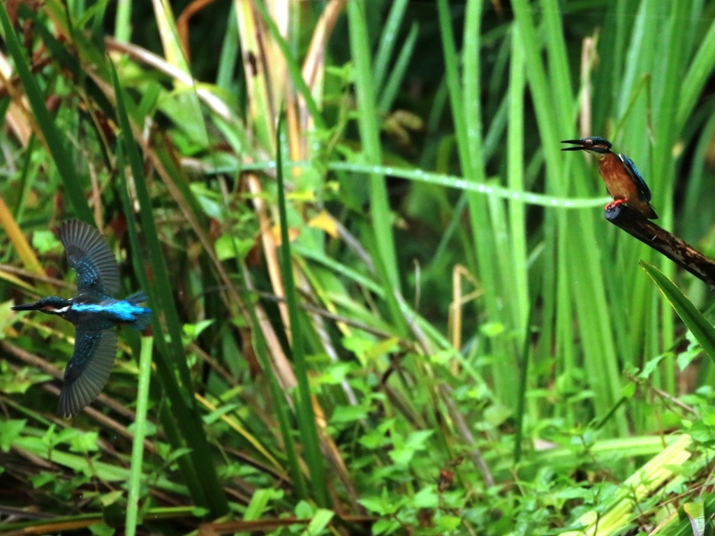 台風関係なし！　②
