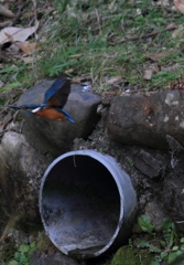 人工物前の舞い...