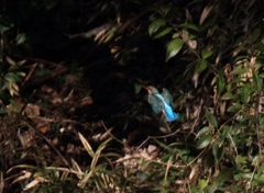 隠れます...