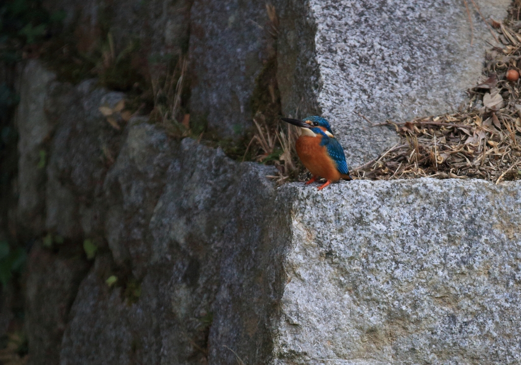 西・北の分岐点
