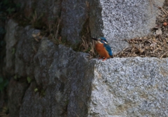 西・北の分岐点