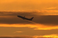 松山空港を離陸したJAL機