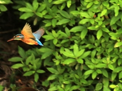 再確認