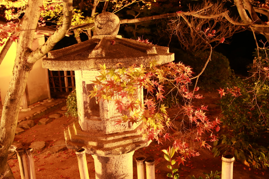 二ノ丸庭園「茶室前」