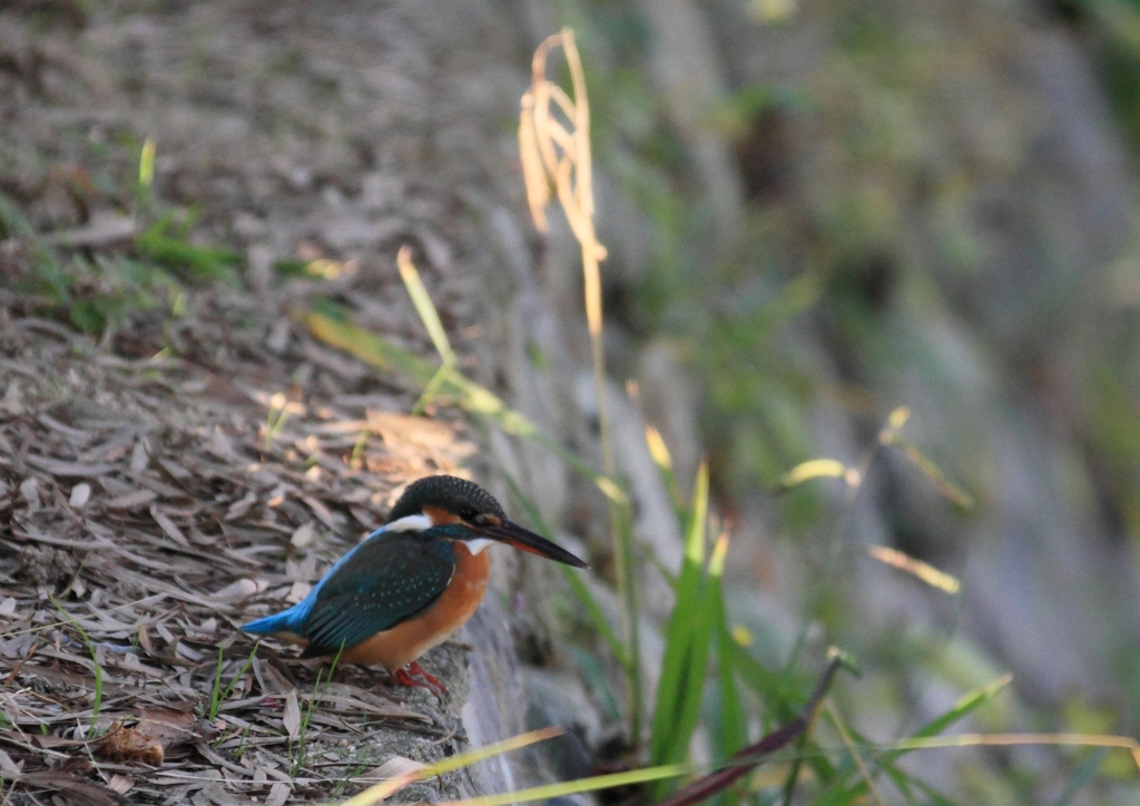 THE　見て見て！！