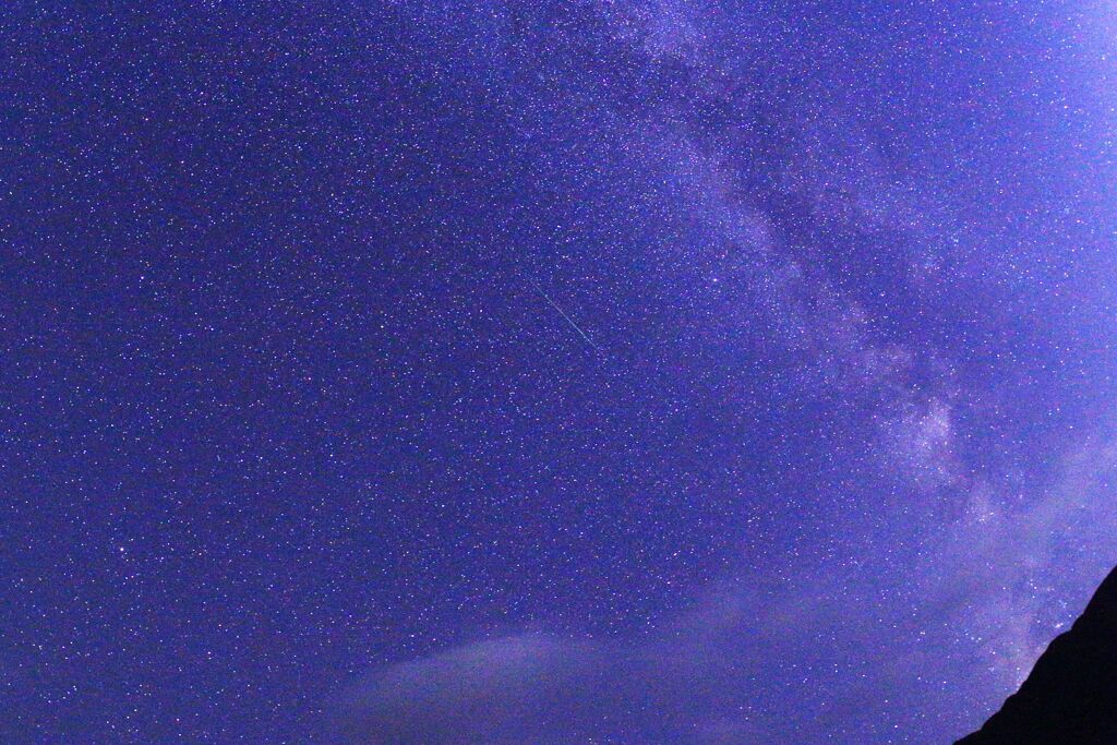 白夜に主役集合！