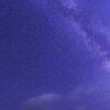 白夜に主役集合！