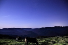 真夜中の四国カルスト